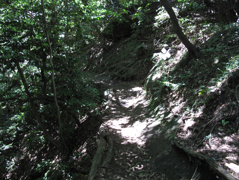20150715hike (141)